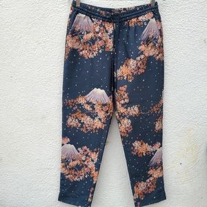 Scotch + Soda Stargazer Pants